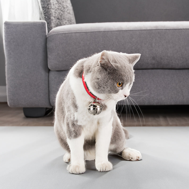 Collar para mascotas, Bone Alloy Bells -  Perros & Gatos